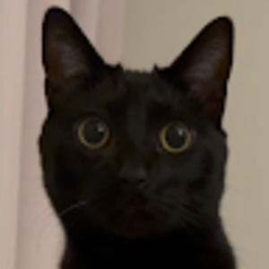 Meet your Posher, Meow